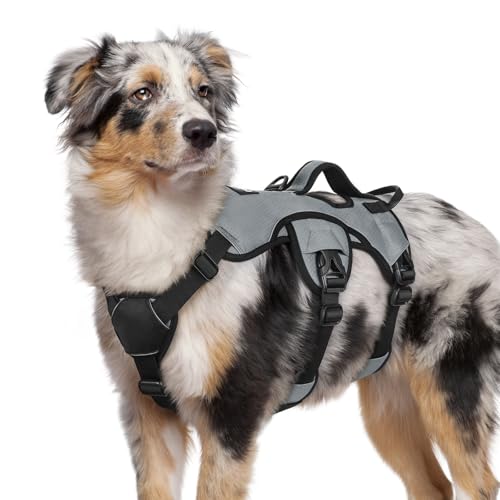 rabbitgoo Escape Proof Dog Harness, Soft Padded Full Body Pet Harness, Reflective Adjustable No Pull Vest with Lift Handle and Leash Clip for Large Dogs Walking Hiking Training, M, Grey - color: Grey, size: Medium (Pack of 1)