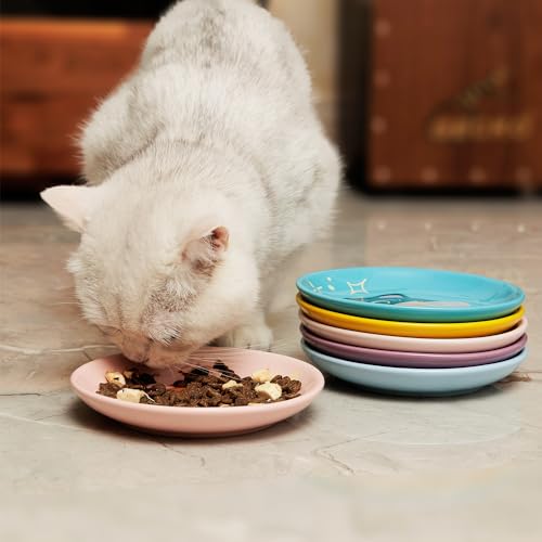 Ceramic Shallow Cat Dish 6 inch, Whisker Fatigue Free Cat Food Bowls, Wide and Small Pet Plate for Kitten and Kitty, Cat Design Gift for Cat Lovers - color: Cat Design A