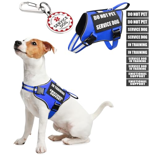 Service Dog Vest Harness+ID Tag+10 Patches,Metal Serivce Dog Tag&Reflective Emotional Support Dog Vest with Handle for Small Dogs,Easy Put On/Off for Training/Walking/Everyday Blue XS - color: Blue, size: XS