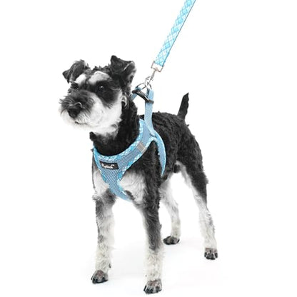 PUPTECK Dog Harness and Leash Set for Small Medium Dogs No Pull Step-in Soft Mesh Puppy Cat Vest Harnesses Reflective at Night, Sky Blue, XS - color: #1 SkyBlue(Basic Mesh), size: XS(CHEST 13"-14.5", 3-9 lbs)