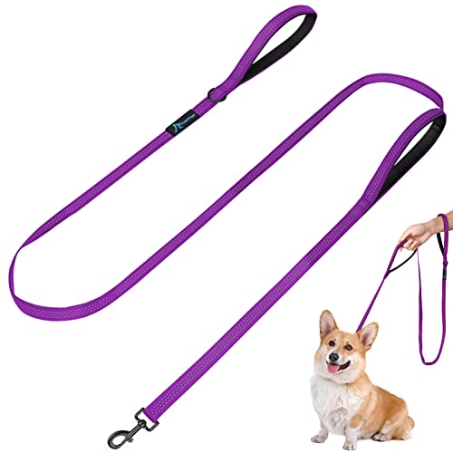 Dog Leash for Small to Medium Dogs 6 ft x 0.6" with 3 Reflective Stitching and 2 Traffic Padded Handles Dog Lead/Rope, Pet Leash for Running Walking Training (Purple 1 Pack) - color: Purple 1 Pack, size: 6 ft x 0.6 in