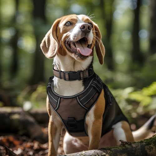 Joytale Reflective Dog Collar, Soft Neoprene Padded, Metal D-Ring, Nylon Pet Collar Adjustable for Puppy and Small Dogs, Brown, XSmall - color: Brown, size: X-Small (Pack of 1)