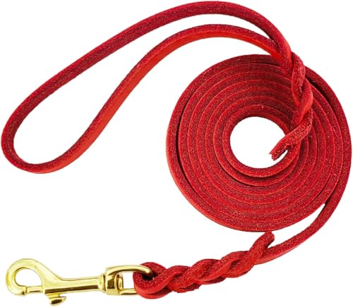 LWBMG Leather Dog Leash - 6ft x 1/2 inch Heavy Duty, Braided, Comfortable Leash for Large, Medium & Small Dogs - Red - color: Red, size: 6 ft x 1/2 inch