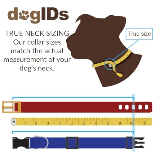 dogIDs Personalized Soft Designer Leather Dog Collar - Adjustable, Odor Resistant, Built-in Custom Laser Engraved Rivet on Name Plate - Ruby Red - 1/2 in Wide x 7 in Neck - color: Ruby Red, size: 1/2 in wide x 9 in (its 6-8 inch necks)