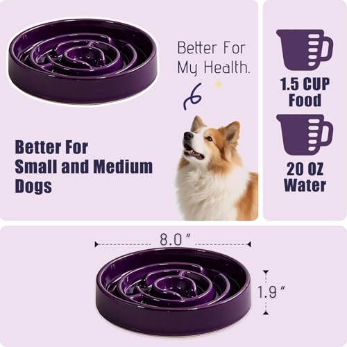 Ceramic Slow Feeder Dog Bowl,1.5 Cups Pet Slow Feeder for Small and Medium Breed,Puzzle Dog Food Dish,Anti-Gulping,Stop Bloat,Preventing Choking(Purple) - color: Purple
