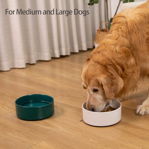 Large Dog Bowls, Non Slip Heavy Ceramic Dog Food and Water Bowl with Silicone Base, 8" Pet Feeding Bowl for Small, Medium, and Big Dogs (Green, 8 Inches) - color: Green, size: 8 Inches