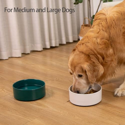 Large Dog Bowls, Non Slip Heavy Ceramic Dog Food and Water Bowl with Silicone Base, 8" Pet Feeding Bowl for Small, Medium, and Big Dogs (Green, 8 Inches) - color: Green, size: 8 Inches