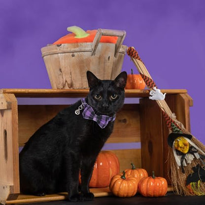 ADOGGYGO Halloween Cat Collars Breakaway with Removable Bowtie Bell, 2 Pack Orange Purple Plaid Halloween Bow Collar for Cats Kittens - color: Orange&Purple-1