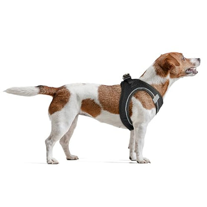 Filbert Dog Harness Large Sized Dog, Step-in Reflective Harness Large Sized Dogs, Mesh Vest, Adjustable, Soft, High Reflectivity, Breathable Fabric, Heavy Duty, Black - color: Black, size: XL (Chest: 20.75 - 23")