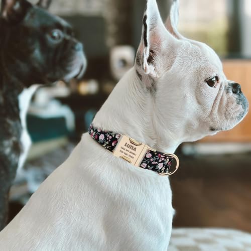 Custom Dog Collar with Name and Phone Numbers - Personalized Laser-Engraved Plaid Polyester Collar with Metal Buckle and D-Ring (Style-S, M (11-16 Inches)) - color: Style-S, size: M (11-16 Inches)