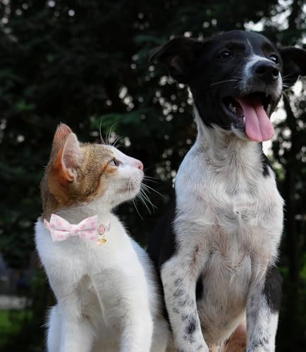 Breakaway Cat Collar with Bow Tie,2 Pack Adjustable Kitten Collars with Removeable Bowtie and Bells for Girl Boy Cats. (Pink and White) - color: pink and white