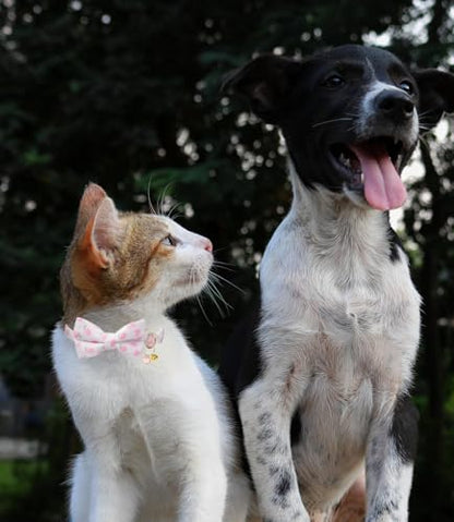 Breakaway Cat Collar with Bow Tie,2 Pack Adjustable Kitten Collars with Removeable Bowtie and Bells for Girl Boy Cats. (Pink and White) - color: pink and white