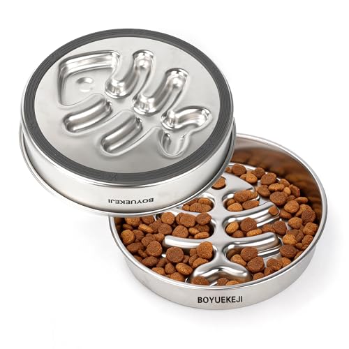 BOYUEKEJI Stainless Steel Slow Feeder Dog Bowl, 304 Grade MetalPet Food Bowl, Teddy Cat Design Insert, Healthy Feeding Solution for Dogs, Cats