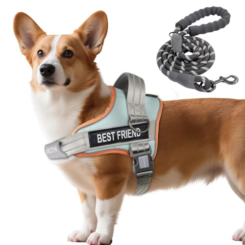 AUROTH Dog Harness and Leash Set, Soft Padded Service Dog Vest with 5.25FT Dog Leash, No Choke, Easy On Pet Vest, Adjustable Reflective No Pull Dog Harness Small Sized Dog, Easy Walking and Training - color: Macaron Blue, size: Small