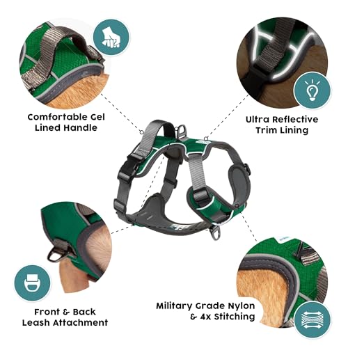 Embark Adventure Medium Dog Harness – No-Pull, Reflective Trim, Military-Grade Nylon, Front Clip with Gel-Lined Handle - color: Green, size: M