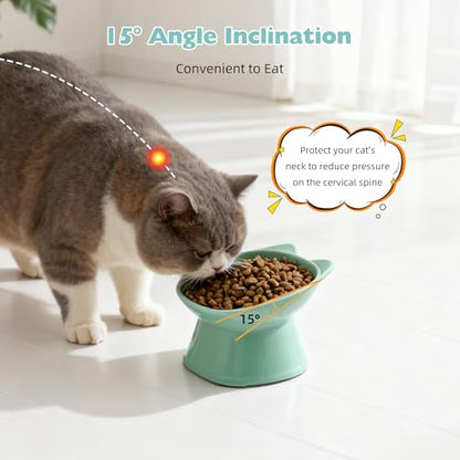 KSIA Klear Elevated Cat Bowls 2 Pack, Tilted Raised Cat Bowl for Food and Water, 4.72" Wide, Whisker Friendly Anti Vomit for Indoor Cats, Microwave and Dishwasher Safe, Green - color: Green