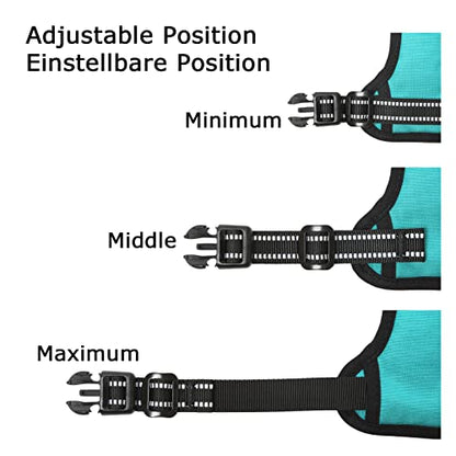 HEELE Dog Harness Dog Harness Small Dog No Pull Harness wiht Soft Handle Reflective Harness Adjustable, Turquoise, XS - color: Turquoise, size: XS