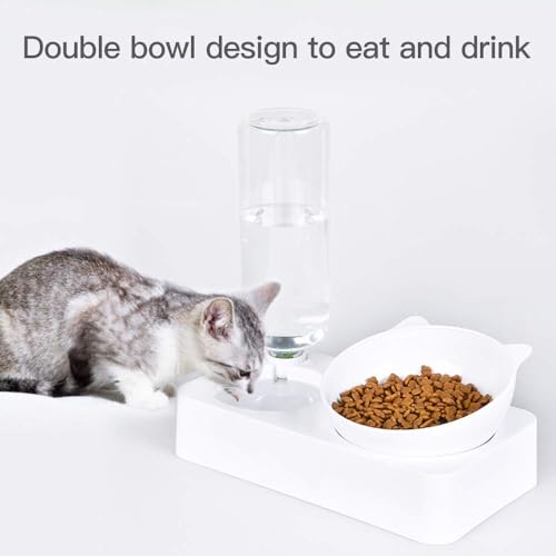 Cat Bowls, Pet Food Bowls, 15° Tilted Cat Bowl for Indoor Cats, Dog Food and Water Bowl Set