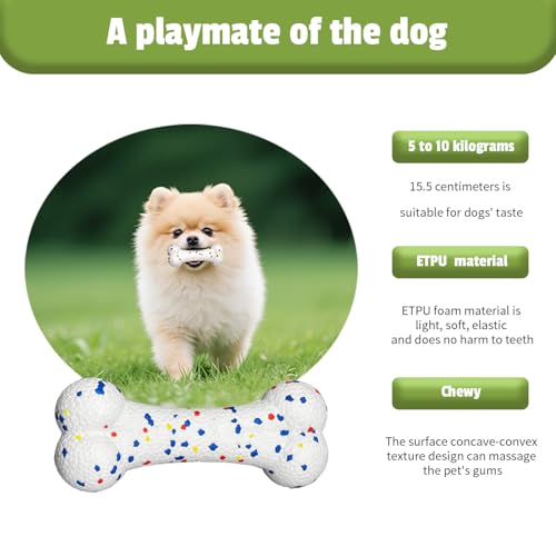 SYMHOBBY Indestructible Dog Toys Balls for Small Dogs 1.97inch Durable Bouncy Floating Interactive Toys with Pull Ring and Bone 3Pcs