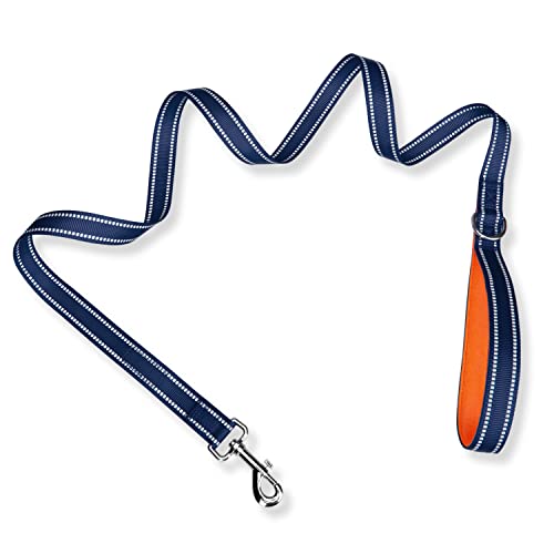 PHOEPET 5 Feet Dog Leash - Dual-Side Reflective - Soft Padded Handle - Fit for Walking, Training or Exploring Hiking, Camping (Blue + Orange Base) - color: Blue + Orange Base