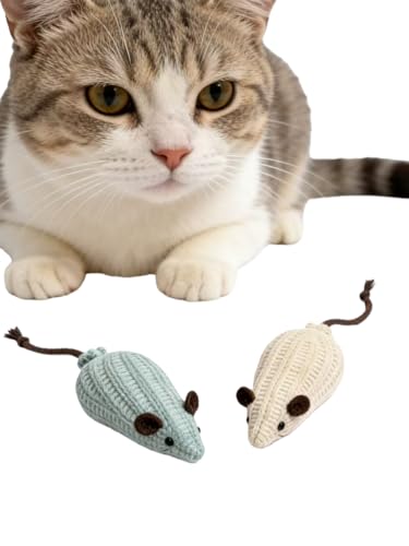 2 Pack Cat Mouse Toy Mouse Toys for Cats Cat Toy Mouse Cat Toys Mice Soft Plush Cat Chew Toy with Catnip for Kitten Interactive Play