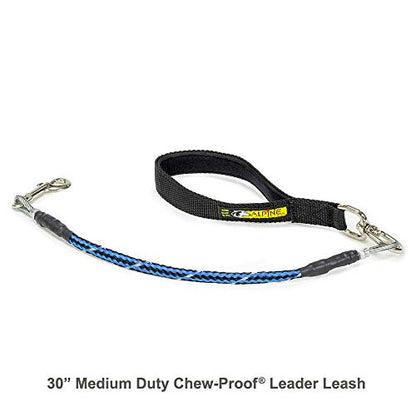 Chew Proof Dog Leash, 30" Medium Duty with Padded Handle and Reflective Black/Blue/Silver Weave Poly Sheath - Alpine Outfitters