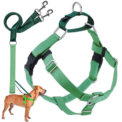 2 Hounds Design Freedom No Pull Dog Harness, Adjustable Harness and Leash Set, Easy Walking & Comfortable Control, Fits Small, Medium & Large Dogs, Solid Colors, Made in USA, 1" XL, Neon Green - color: Neon Green, size: XL (Chest 32"- 38")