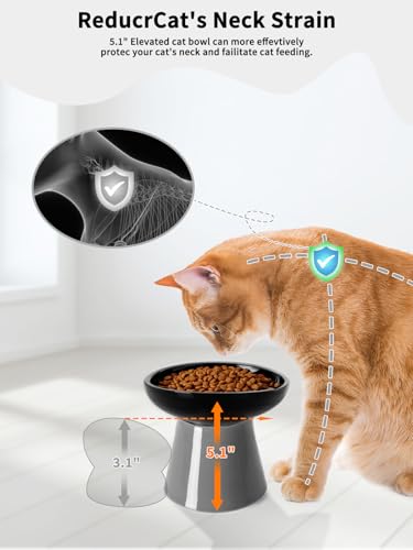 LoeJan Elevated Cat Food and Water Bowls Set, Extra Wide and Raised Ceramic Feeder, Anti-Vomit Whisker-Free Pressure Feeding Bowl for Kittens Adult Small Dogs(Black, 2 Pack) - color: Black, size: 2 Pack (Food & Water Bowls)