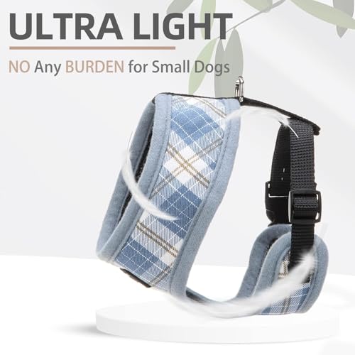 PUPTECK Soft Mesh Dog Harness and Leash Set Pet Puppy Cat Comfort Padded Vest No Pull Harnesses, Sky Blue, S - color: Sky Blue, size: S (NECK: 12", CHEST: 14"-18")
