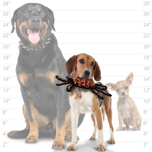 Tuffy Desert Spider - color: Brown/Black, size: Large