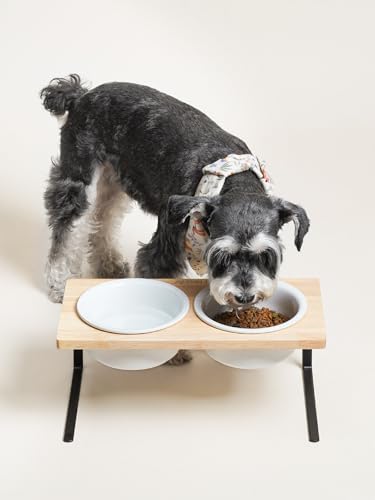 Elevated Dog Bowls, Raised Dog Bowl Stand with Two 6.5 inch Ceramic Bowl, Non-Slip Puppy Food and Water Bowls, Dogs Feeder for Small and Medium Breed, White - color: White, size: 6.5inch