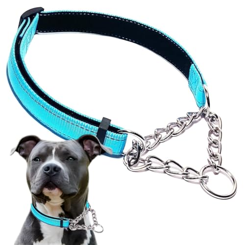 Martingale Collar for Dogs, Reflective Nylon Soft Padded No Pull Training Collars Adjustable Stainless Steel Chain Collar for Small Medium Large Dogs Light Blue Small - color: Light Blue, size: Small (Neck for 12-15")