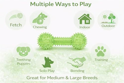 Squeaky Spiky Dog Barbell Toy for Teeth Cleaning & Gum Massage 6.3 Inch Medium Large Dogs Green | Spiny TPR Rubber Chew Toy for Fetch Play Interactive Dental Barbell Durable BPA Free Nontoxic Floats - size: Green Bone 1-Pack