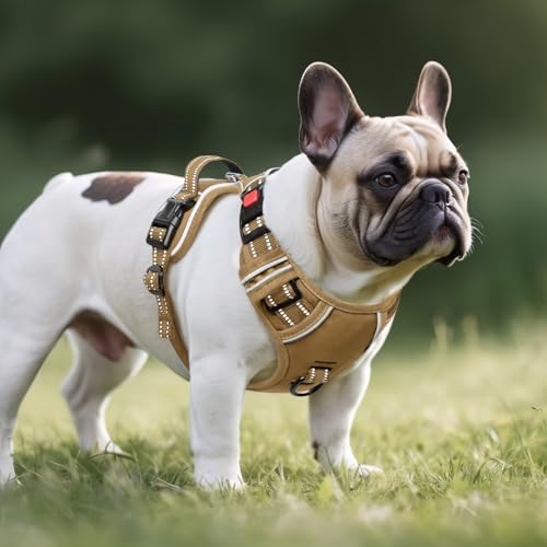 Dog Harness Small Sized, No Pull Pet Harness with Neck Lockable Snap,No Choke Front Clip Dog Reflective Vest,Adjustable Metal Rings 3 Buckles,Easy Control Handle for Small Dogs Khaki S - color: Lock Khaki, size: Small (Pack of 1)
