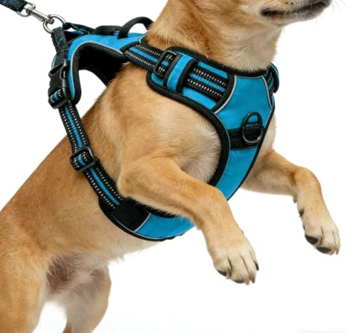 Blue No-Pull Dog Harness with 2 Leash Clips，Soft Padded Vest for Medium Dog, Adjustable Reflective Dog Vest Easy to Put on and Take Off, (Neck: 14"~20", Chest: 21"~27", Blue M) - color: Blue, size: Medium