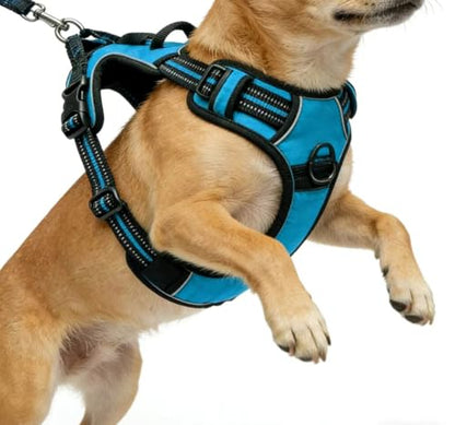Blue No-Pull Dog Harness with 2 Leash Clips，Soft Padded Vest for Medium Dog, Adjustable Reflective Dog Vest Easy to Put on and Take Off, (Neck: 14"~20", Chest: 21"~27", Blue M) - color: Blue, size: Medium