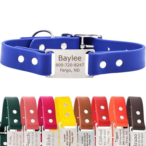 dogIDs Personalized Dog Collar – ScruffTag Custom Waterproof Biothane Dog Collar with Laser-Engraved Name, Durable & Odor-Resistant – USA Made | Blue, 1 in x 16 in (Fits Neck Sizes 14-18 in) - color: Blue, size: 1 in x 16 in (Fits Neck Sizes 14-18 in)