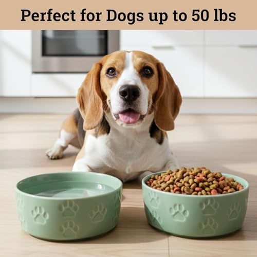 Ceramic Dog Bowl Set of 2 with Anti-Skid Base - 6.5" Wide x 2.5" Tall Ceramic Dog Bowls Medium Sized Dogs - 3.8 Cup Capacity Food and Water Bowls for Dogs - Rubber Bottom Pet Bowl Set of 2 Medium Size - color: Sage Green, size: Medium