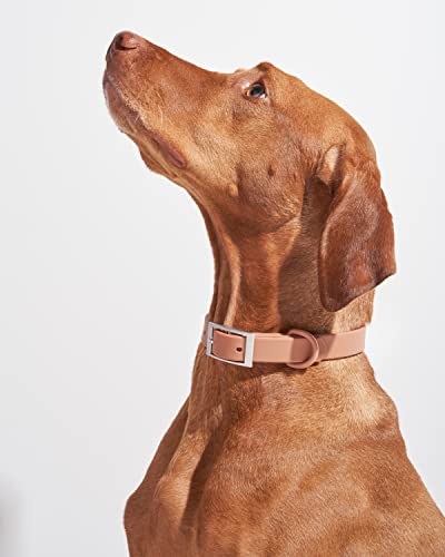 Wild One Dog Collar, Easy-Clean, All Weather Flex-Poly Strap with Metal, Durable, Dirt and Odor Resistant (Cocoa, M) - color: Cocoa, size: M