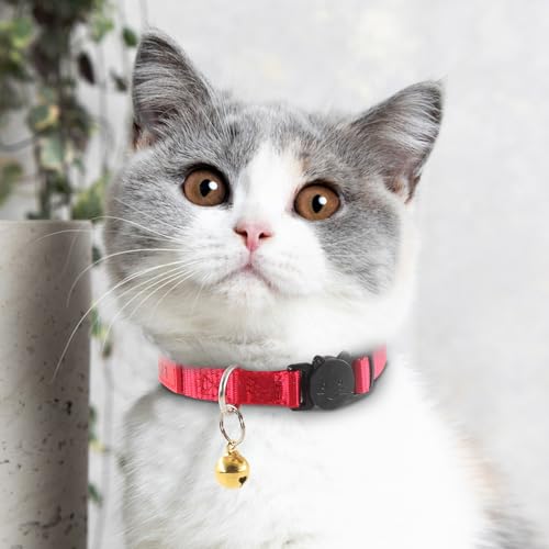 Personalized Custom Cat Collars,Custom ID Collar with Pet Name and Phone Number, Adjustable Kittens Nylon Collars Breakaway with Bells for Boy Girl (Normal) - color: Normal