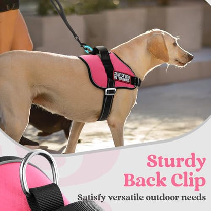 rabbitgoo Dog Harness Medium Sized, Easy On Pet Vest with One Buckle, No Pull Adjustable Service Harness with D-Ring & Handle, Reflective for Safety Walking, Training, Pink, M - color: Pink, size: Medium