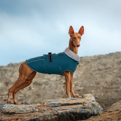 Lelepet Warm Dog Coats for Small Dogs Waterproof Dog Winter Jacket Reflective Pet Fleece Vest Windproof Cold Weather Coats with Adjustable Buckle & Leash Hole, Dark Green, S - color: Dark Green, size: S