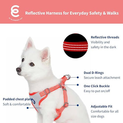 Blueberry Pet Essentials Back to Basics Reflective Dog Harness Vest, Fiery Red, Large, Adjustable Harnesses for Dogs - color: Fiery Red, size: Large (Pack of 1)