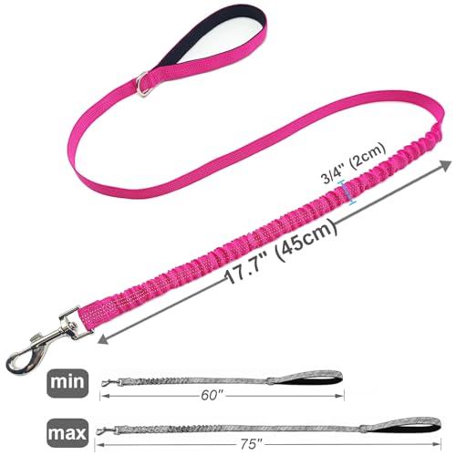 Bungee Dog Leash- 5FT Shock Absorbing & Reflective Nylon Leash | Anti-Pull Training for Small/Medium Dogs | 2cm Wide, 6 Colors (Pink) - color: Pink