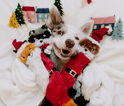 ZippyPaws Skinny Peltz - No Stuffing Dog Toys to Keep Them Busy, for Medium and Large Dogs, Squeaky Unstuffed Chew Toys for Pets, Soft Plush Variety Pack, Fox, Raccoon, & Squirrel - Holiday 3-Pack - style: Santa Fox, Raccoon, and Elf Squirrel - Large (3-p