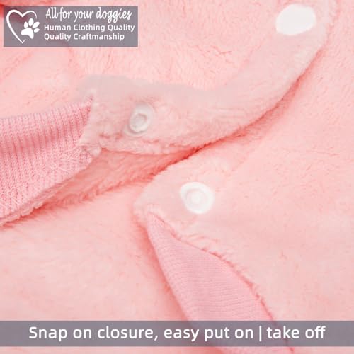 FabriCastle Dog Hoodie Sweater for Small Dogs Boy and Girl, Dog Clothes XS XXS Puppy Sweatshirt, Pet Outfit, Cat Clothing Super Soft Warm Snap On Closure (Pink, XX-Small) - color: Pink, size: XX-Small