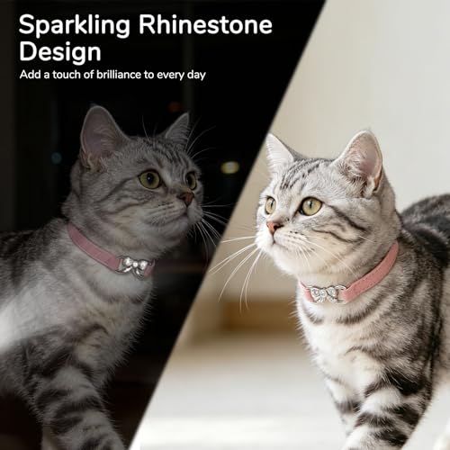 BINGPET Bling Cat Collar with Bells and Safety Belt,Adjustable Soft Velvet Kitten Collar with Diamond Bow,Cute Pink Cat Collars for Girl Cats(Pink, Neck Girth 8"-10") - color: Pink(Bowknot), size: Neck Girth 8"-10"