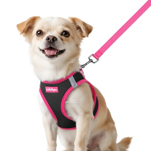 rabbitgoo Dog Harness Small Sized and Leash Set, Step-in Breathable Pet Harness, Soft Walking Reflective Puppy Vest for Small Dogs, Black & Rose Red, XXS - color: Black & Rose Red, size: XXS (Chest: 12.4 - 14.2")