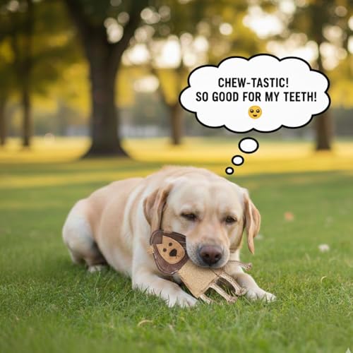 Natural Jute Dog Chew Toy – Lion Shape, Tough & Durable Puppy Teething Toy, Safe Eco-Friendly Chew, Interactive Training & Play Toy for Small, Medium & Large Dogs - style: Lion Shape