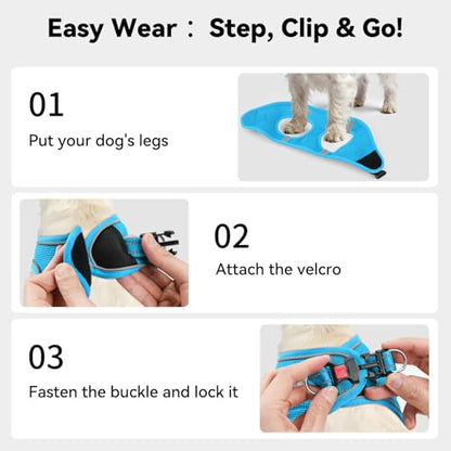 Joytale Small Dog Harness, Breathable Mesh Step-in Vest, Reflective Soft Padded Harnesses for Cats and Puppies Dogs, Sky Blue, XXXS - color: SkyBlue, size: XXXS--Chest: 10.5-12''